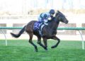 Lindsay Park’s Kiwi recruit stamps spring claims