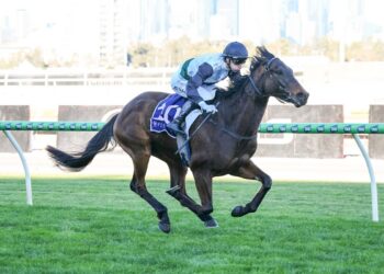 Lindsay Park’s Kiwi recruit stamps spring claims