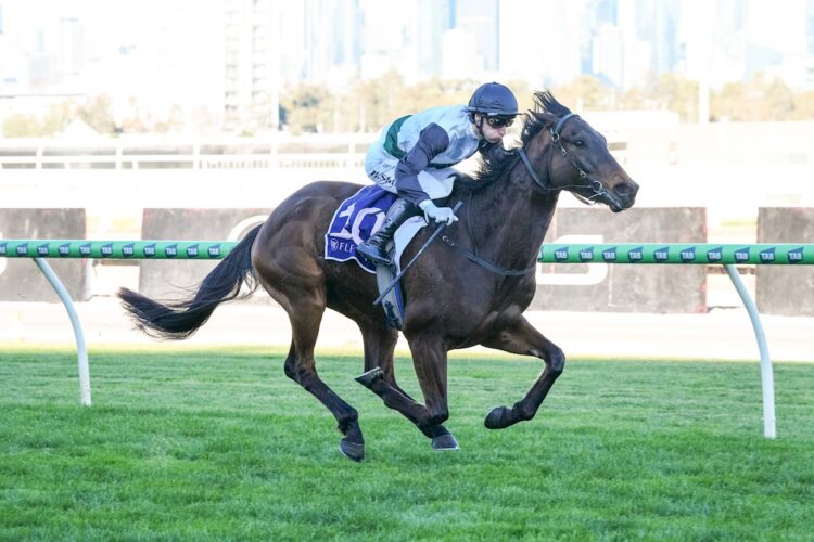 Touchdown (NZ) ridden by Blake Shinn wins the 2026 Melbourne Cup Carnival On Sale at Flemington Racecourse on August 01, 2026 in Flemington, Australia. (Photo by Brett Holburt/Racing Photos)