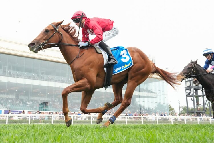 Palm Angel ridden by Ethan Brown wins the Sportsbet Blue Diamond Prelude (F) at Caulfield Racecourse on February 08, 2025 in Caulfield, Australia. (Photo by George Sal/Racing Photos)