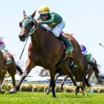 Moody says Sheza Alibi ‘ahead of the game’ after trial