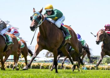 Moody says Sheza Alibi ‘ahead of the game’ after trial