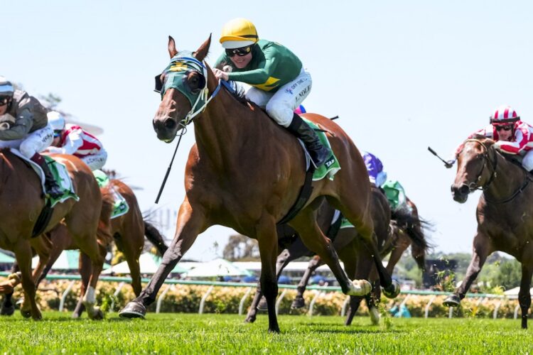 Sheza Alibi ridden by Luke Nolen wins the The TAB Vanity at Flemington Racecourse on November 01, 2025 in Flemington, Australia. (Photo by George Sal/Racing Photos)