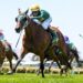 Moody says Sheza Alibi ‘ahead of the game’ after trial