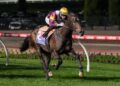 Evaporate chasing elusive Group 1 breakthrough this spring