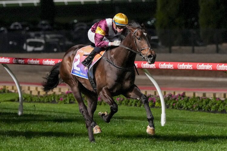 Evaporate (NZ) ridden by Michael Dee wins the MGI Golf Stutt Stakes at Moonee Valley Racecourse on September 27, 2024 in Moonee Ponds, Australia. (Photo by George Salpigtidis/Racing Photos)
