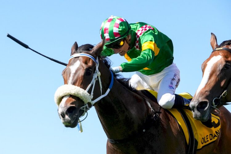 Ole Dancer ridden by Blake Shinn wins the Schweppes Thousand Guineas at Caulfield Racecourse on October 18, 2025 in Caulfield, Australia. (Photo by George Sal/Racing Photos)