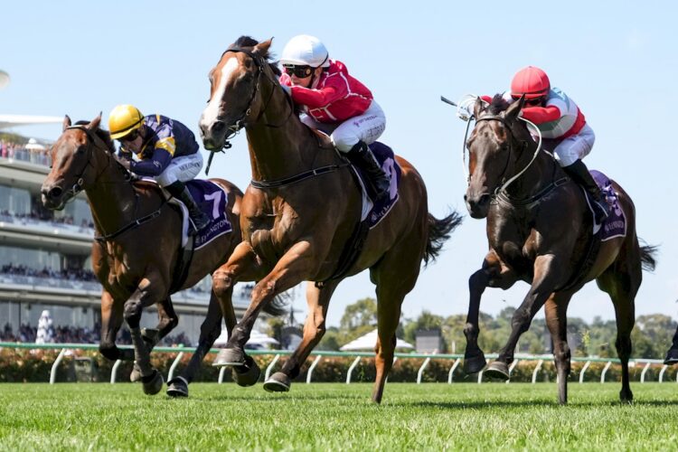 Cafe Millenium ridden by Celine Gaudray wins the The Elms Handicap at Flemington Racecourse on February 14, 2026 in Flemington, Australia. (Photo by George Sal/Racing Photos)