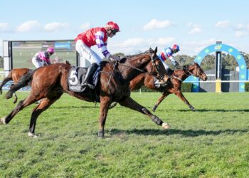 Jockey banned after premature salute