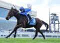 Maher changes tack after costly Custom defeat