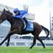 Maher changes tack after costly Custom defeat