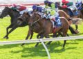 Buggsy earns Coolmore shot after gutsy Sandown return