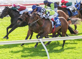 Buggsy earns Coolmore shot after gutsy Sandown return
