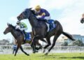 McNeil says Stakes has talent to overcome his own mistakes