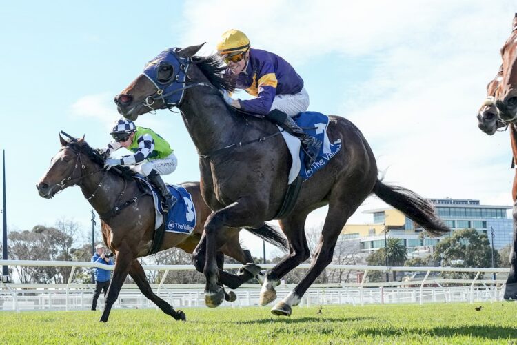 Stakes ridden by Jye McNeil wins the The Valley @ Caulfield Handicap at Caulfield Heath Racecourse on August 08, 2026 in Caulfield, Australia. (Photo by George Sal/Racing Photos)