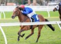 Cavalry Girl earns shot at Group 1 glory