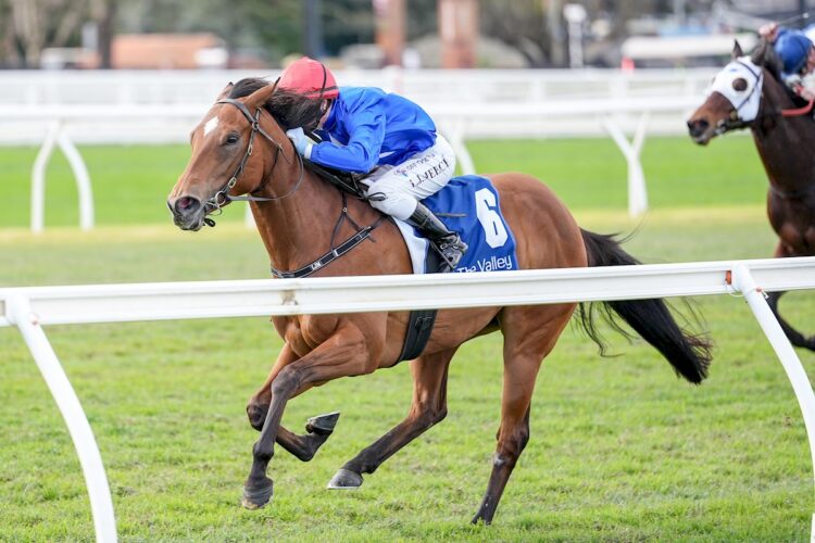 Cavalry Girl ridden by Linda Meech wins the Sweeney Estate Agents Handicap at Caulfield Heath Racecourse on August 08, 2026 in Caulfield, Australia. (Photo by George Sal/Racing Photos)