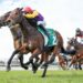 Sunday Review: The Heath delivers, Shinn shines and the learnings from Saturday