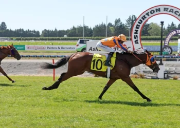 NZ Trial Watcher: Blackbookers from the Ashburton trials