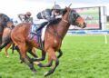 Another Victorian trainer fined in Formestane drug saga