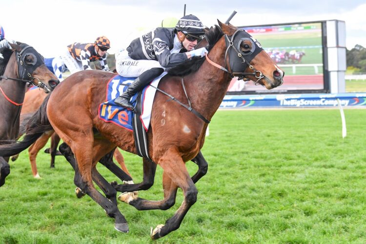 Rip 'N' Rip (NZ) ridden by Thomas Stockdale wins the ive > Handicap at Sportsbet Sandown Hillside Racecourse on July 30, 2025 in Springvale, Australia. (Photo by Pat Scala/Racing Photos)