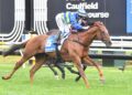 Another Wil returns to familiar ground for Lawrence Stakes comeback