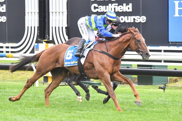 Another Wil ridden by Jamie Melham wins the Sportsbet C.F. Orr Stakes at Caulfield Racecourse on February 08, 2025 in Caulfield, Australia. (Photo by Pat Scala/Racing Photos)