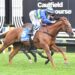 Another Wil returns to familiar ground for Lawrence Stakes comeback