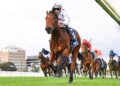 Natural Fling opens Group 1 door with dominant Caulfield win