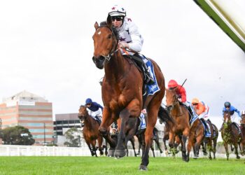 Natural Fling opens Group 1 door with dominant Caulfield win