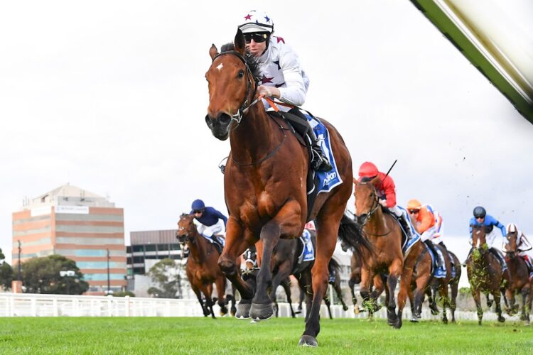 Natural Fling ridden by Damian Lane wins the Quayclean Quezette Stakes at Caulfield Racecourse on August 15, 2026 in Caulfield, Australia. (Photo by Pat Scala/Racing Photos)