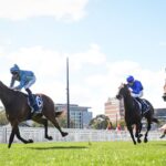 Dean Watlings Trial Review: The coming winners from the NSW trials