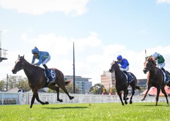 Scenic Point has found a new home up north (Photo by Reg Ryan/Racing Photos)