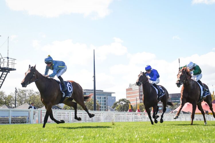 Scenic Point has found a new home up north (Photo by Reg Ryan/Racing Photos)