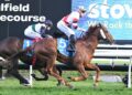 New approach has Pinstriped primed for another Lawrence Stakes shot