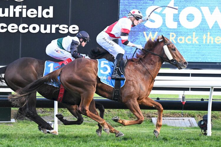 Pinstriped ridden by Ben Allen wins the Stow Storage Memsie Stakes at Caulfield Racecourse on August 31, 2024 in Caulfield, Australia. (Photo by Reg Ryan/Racing Photos)