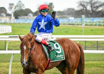 Shadhavar’s rise continues as spring sprint ambitions grow