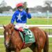 Shadhavar’s rise continues as spring sprint ambitions grow