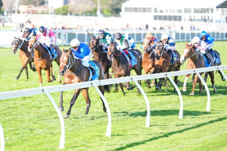 Beiwacht ridden by Nash Rawiller wins the Stow Storage Memsie Stakes at Caulfield Racecourse on August 29, 2026 in Caulfield, Australia. (Photo by Scott Barbour/Racing Photos)