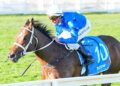 Beaten jockeys: Group 1 Memsie Stakes