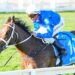 Beaten jockeys: Group 1 Memsie Stakes