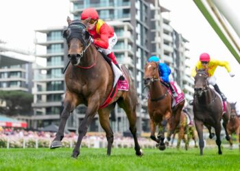 Beast Mode out to turn Sandown speed into Carlyon Stakes success