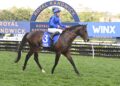 Dean Watling’s Trial Watch: Anamoe’s progeny turn heads as Deano highlights seven to follow