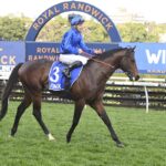 Dean Watling’s Trial Watch: Anamoe’s progeny turn heads as Deano highlights seven to follow