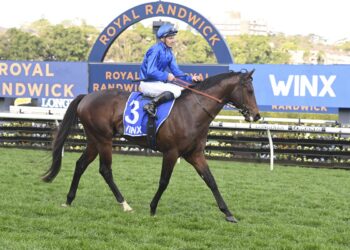 Dean Watling’s Trial Watch: Anamoe’s progeny turn heads as Deano highlights seven to follow