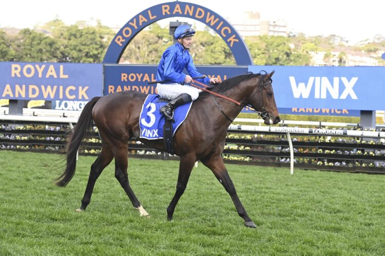 The first progeny of Anamoe dominated the headlines following Monday's 2yo trials. (Image: Bradley Photos)