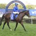 Dean Watling’s Trial Watch: Anamoe’s progeny turn heads as Deano highlights seven to follow