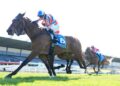 Thousand Guineas dream alive for unbeaten Tolaga Bay