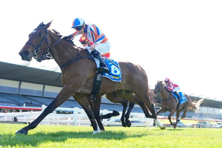 Tolaga Bay ridden by Michael Dee wins the Sportsbet BlackBook Handicap at Sportsbet Sandown Hillside Racecourse on September 02, 2026 in Springvale, Australia. (Photo by Scott Barbour/Racing Photos)