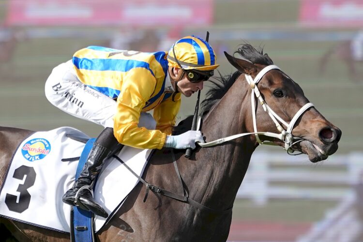 Blind Raise (NZ) ridden by Blake Shinn wins the McMahon's Dairy McKenzie Stakes at Sportsbet Sandown Hillside Racecourse on September 05, 2026 in Springvale, Australia. (Photo by Scott Barbour/Racing Photos)